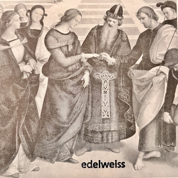 edelweiss